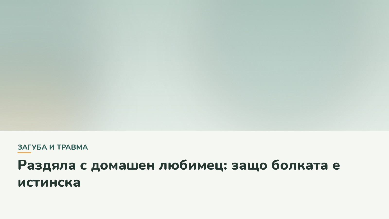 Раздяла с домашен любимец: защо болката е истинска